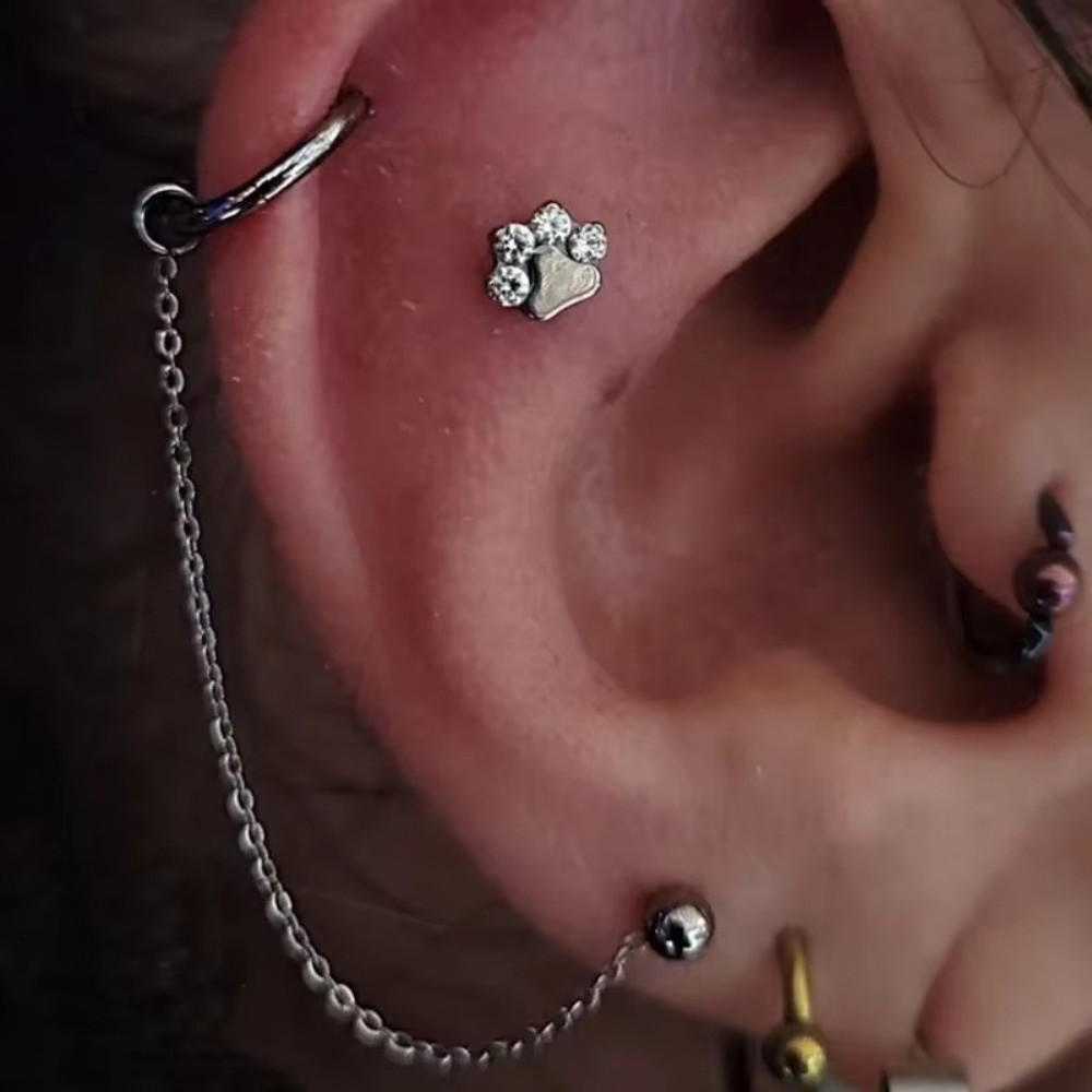 Titanium Nose Chain Three Laye - Body Jewelry Titanium recensione e prezzo